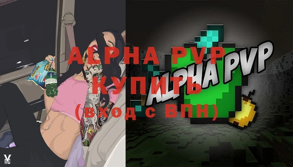 a pvp Абаза